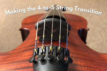 Transitioning From a 4-string to a 5-string Violin (and Back) - Electric Violin Shop