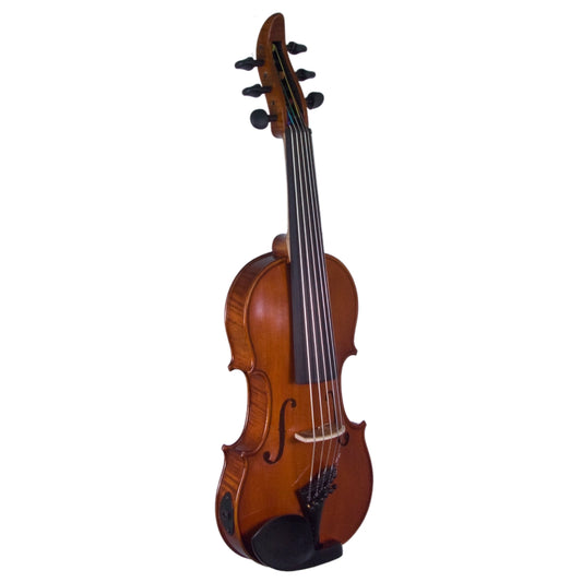 EVL 6-string acoustic-electric violin with Starfish Designs pickup