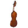 EVL 6-string acoustic-electric violin with Starfish Designs pickup