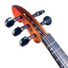 ZETA JV45 Jazz Fusion 5-string 'ZERO' fretted electric violin with MIDI, Roasted Flame Maple top & neck, Cremona Burst finish