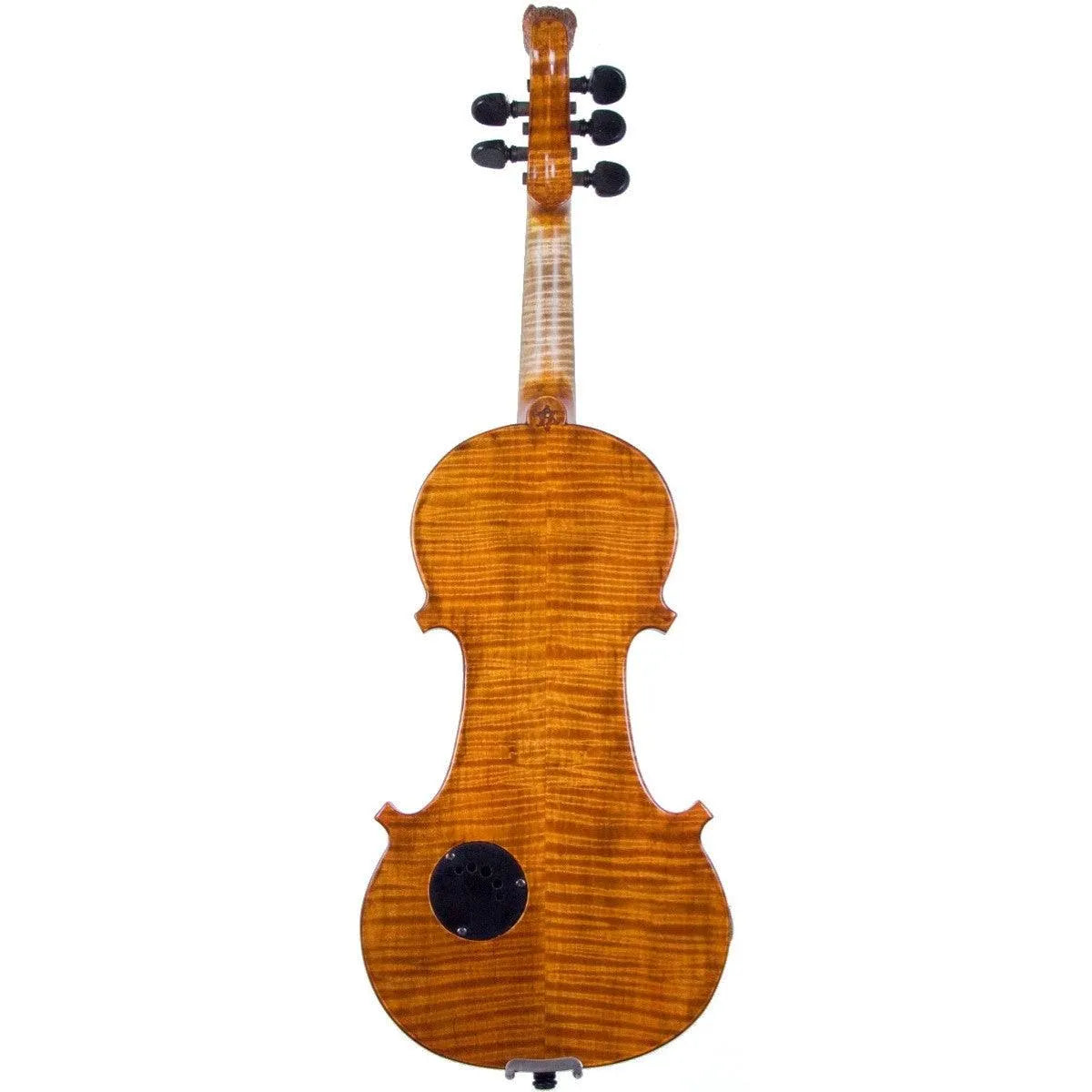 Aceto Violect 5-String electric violin, carved wolf's head scroll and inlaid fingerboard - Electric Violin Shop