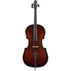 Glasser AE Acoustic-Electric Carbon Composite 4/4 Cello Outfit - Electric Violin Shop