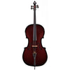 Glasser AE Acoustic-Electric Carbon Composite 4/4 Cello Outfit - Electric Violin Shop
