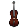 Glasser AE Acoustic-Electric Carbon Composite 4/4 Cello Outfit - Electric Violin Shop