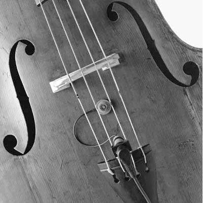 Schertler DYN-B P48 bass transducer - Electric Violin Shop