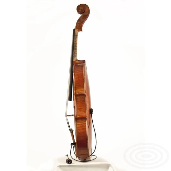 Schertler DYN-V-P48 for violin and viola - Electric Violin Shop