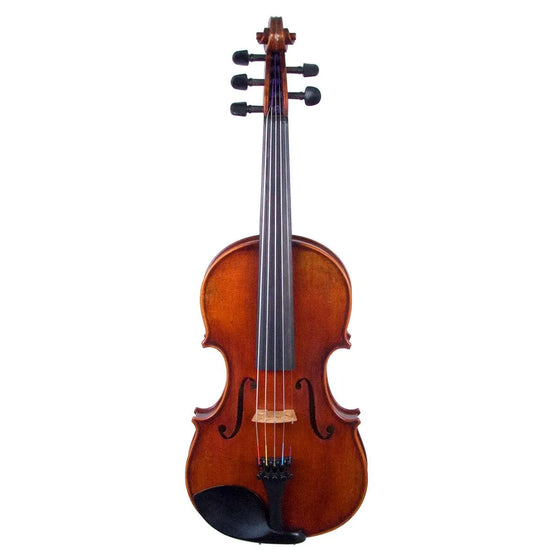 Eastman Rudoulf Doetsch 5-String Series+ VL7015+ acoustic-electric violin - Electric Violin Shop