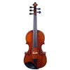 Eastman Rudoulf Doetsch 5-String Series+ VL7015+ acoustic-electric violin - Electric Violin Shop