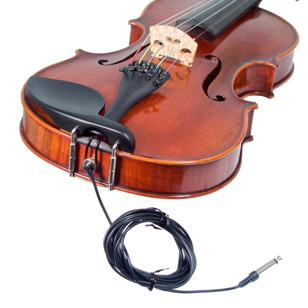 Eastman Rudoulf Doetsch 5-String Series+ VL7015+ acoustic-electric violin - Electric Violin Shop