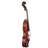 Eastman Rudoulf Doetsch 5-String Series+ VL7015+ acoustic-electric violin - Electric Violin Shop