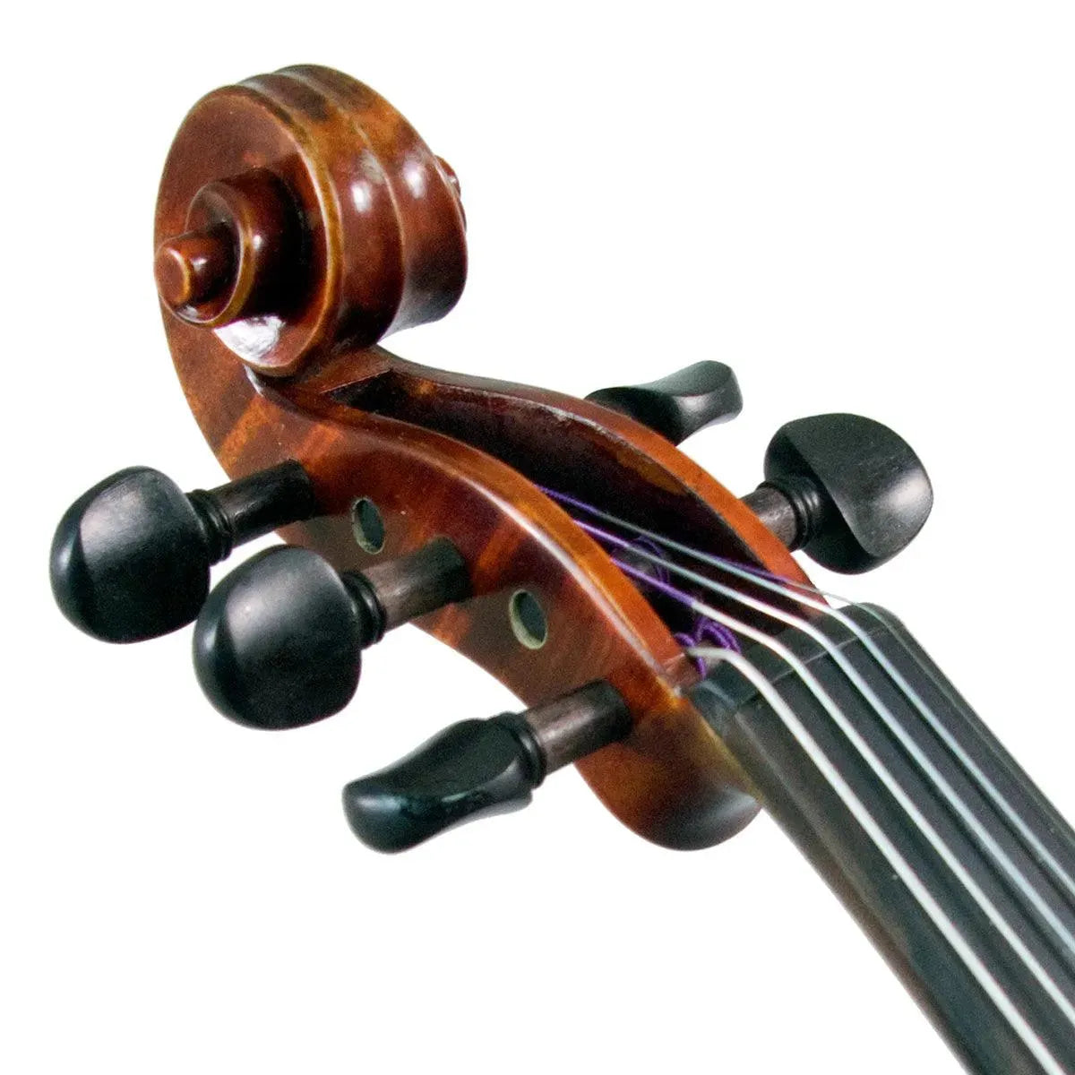 EastmanStringsバイオリン EastmanStringsバイオリン 【公式通販】