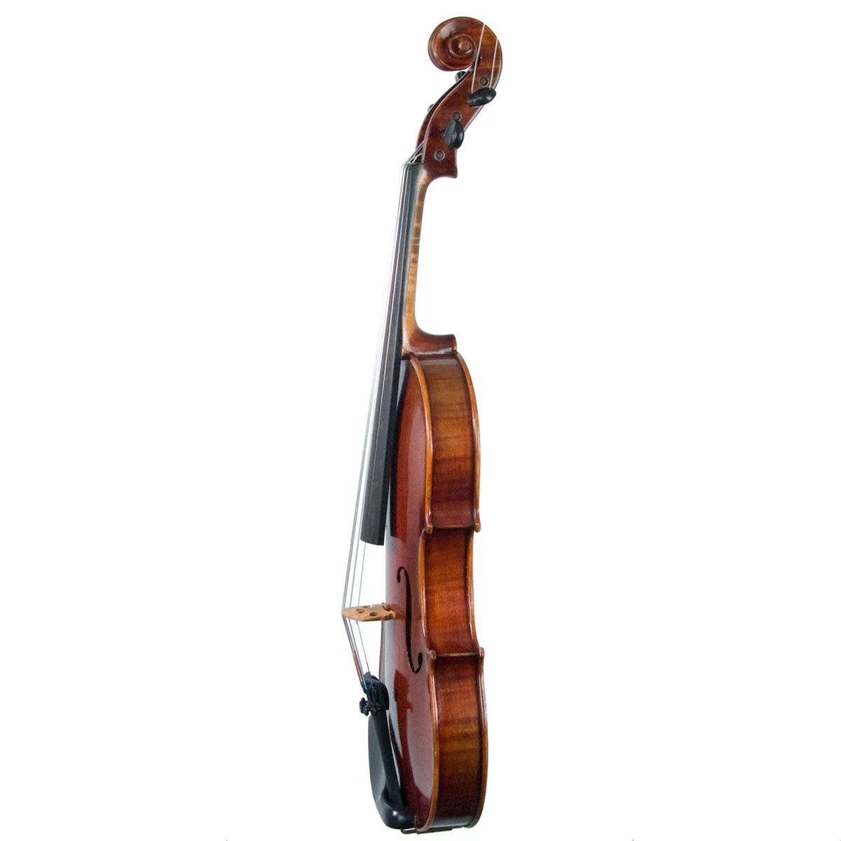 Eastman Rudoulf Doetsch 5-String Series+ VL7015+ acoustic-electric violin - Electric Violin Shop