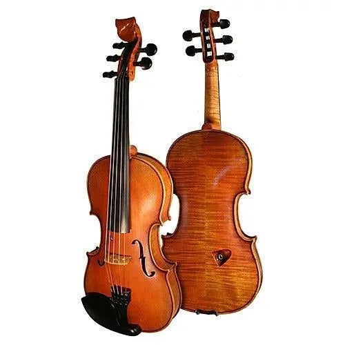 Bridge Tasman 5-String Electro-Acoustic Violin - Electric Violin Shop