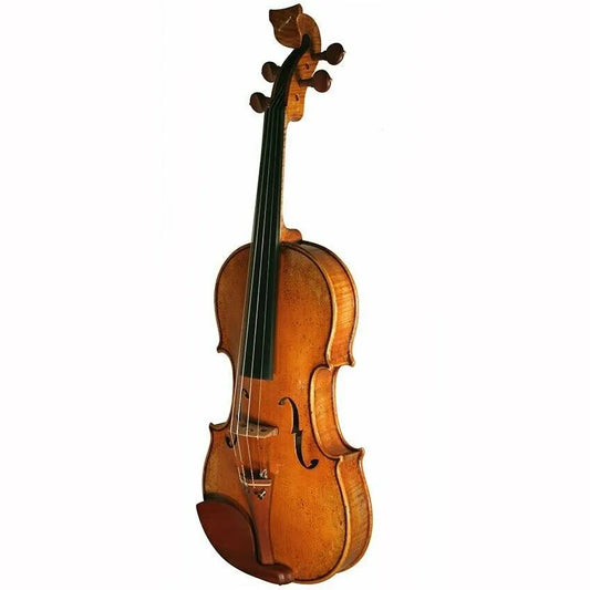 Bridge Golden Tasman Electro-Acoustic Violin - Electric Violin Shop