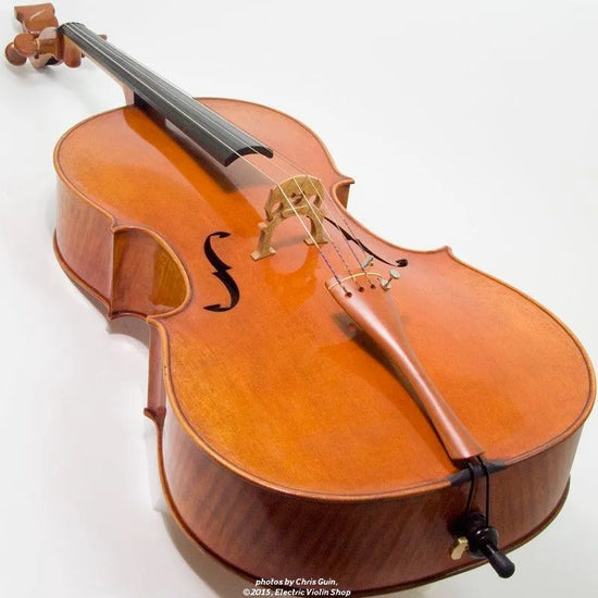 Bridge Golden Tasman Electro-Acoustic Cello - Electric Violin Shop