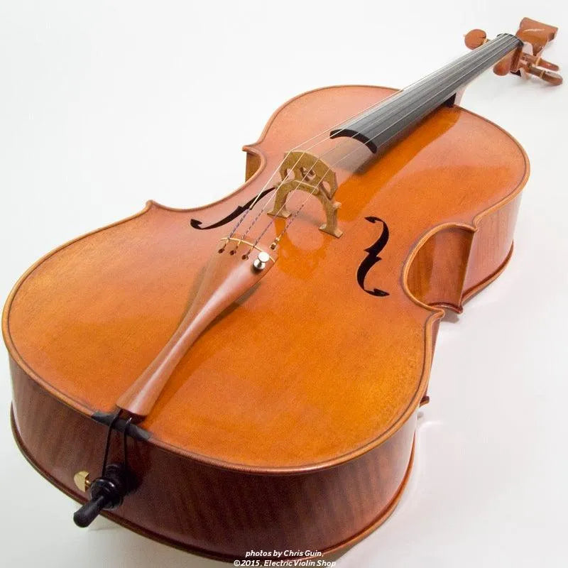 Bridge Golden Tasman Electro-Acoustic Cello - Electric Violin Shop