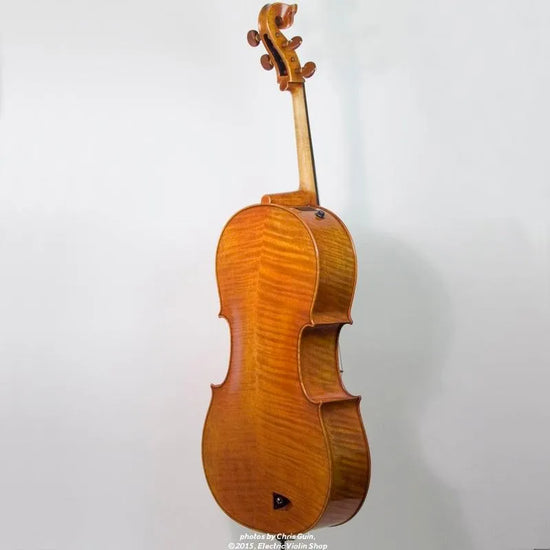 Bridge Golden Tasman Electro-Acoustic Cello - Electric Violin Shop