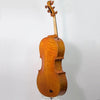 Bridge Golden Tasman Electro-Acoustic Cello - Electric Violin Shop