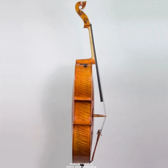 Bridge Golden Tasman Electro-Acoustic Cello - Electric Violin Shop