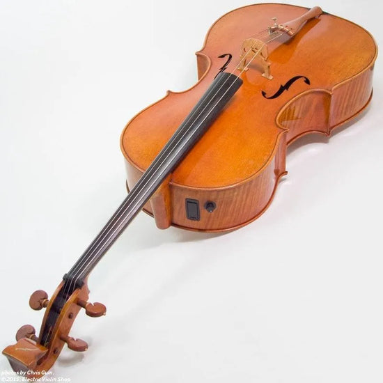 Bridge Golden Tasman Electro-Acoustic Cello - Electric Violin Shop