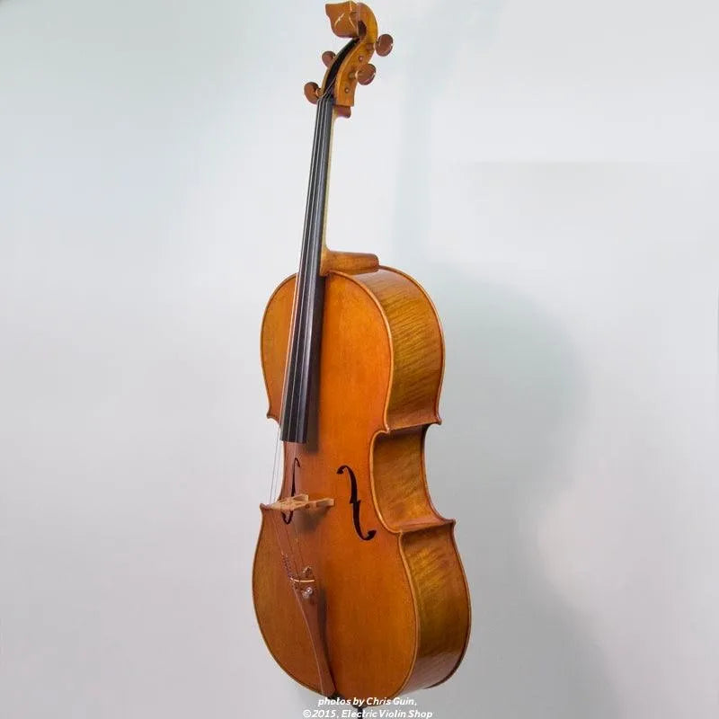 Bridge Golden Tasman Electro-Acoustic Cello - Electric Violin Shop