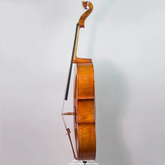 Bridge Golden Tasman Electro-Acoustic Cello - Electric Violin Shop