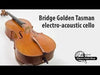 Bridge Golden Tasman Electro-Acoustic Cello - Electric Violin Shop