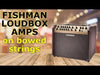 Fishman Loudbox Mini Charge (PRO-LBC-500) 60W battery powered acoustic combo amp - Electric Violin Shop