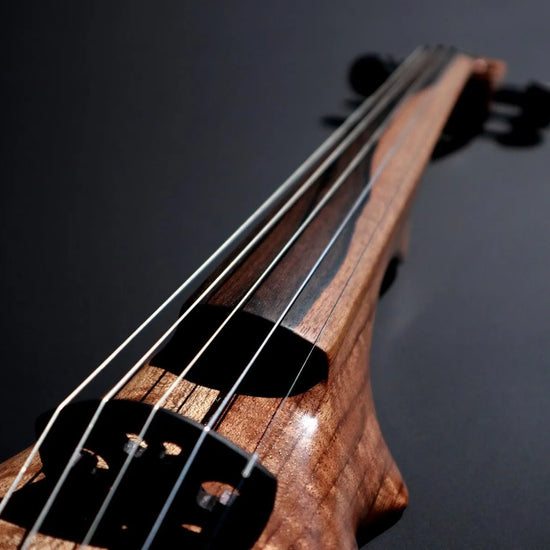 ETJ 5-string Electric Violin, neck-thru walnut body & two-tone ziricote fingerboard - Electric Violin Shop