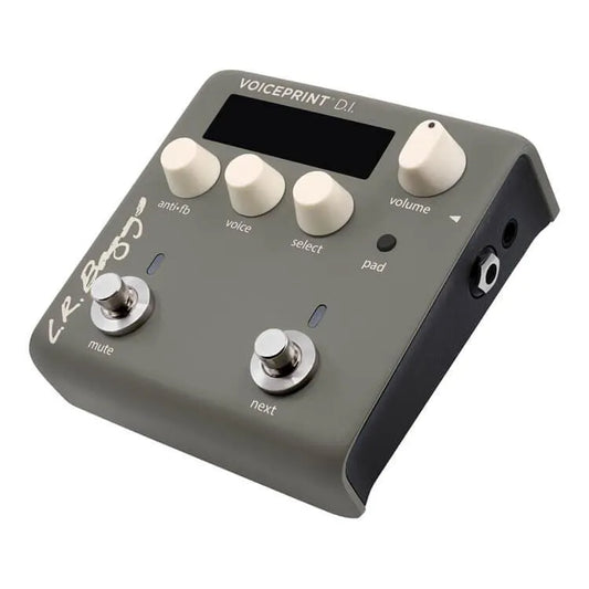 LR Baggs Voiceprint DI impulse response pedal - Electric Violin Shop