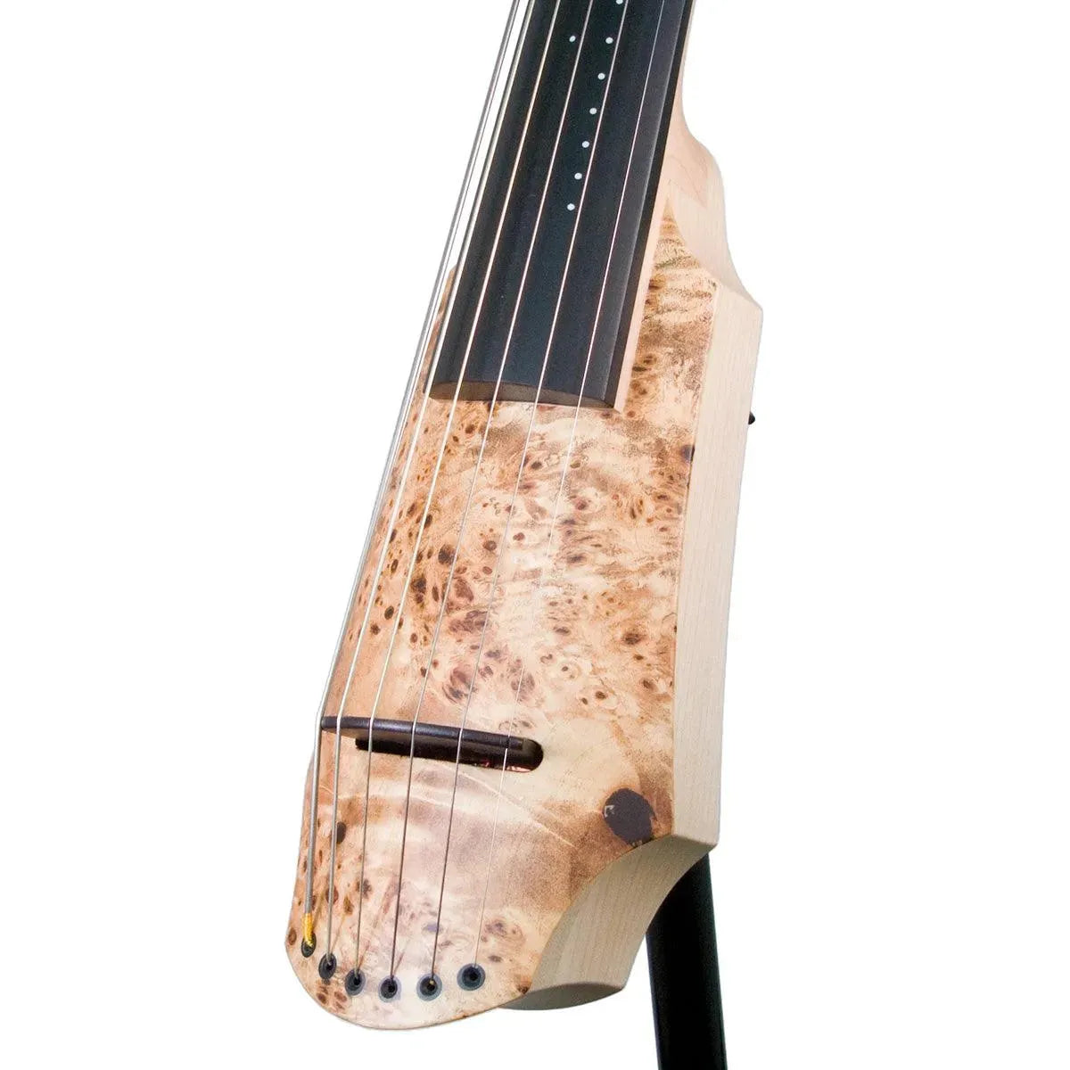 6 cellos hotsell