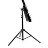 NS Design NXT4a cello, Burgundy Satin