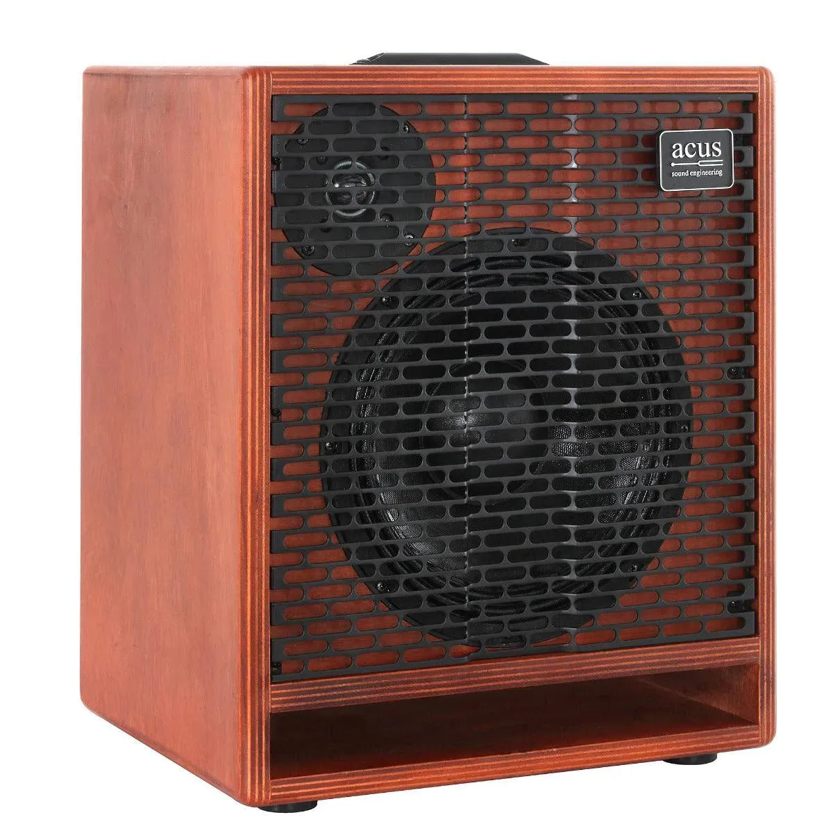 Acus One ForBass Cello / Double Bass Amp | Electric Violin Shop