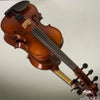 Realist RV-5e acoustic-electric violin - Electric Violin Shop