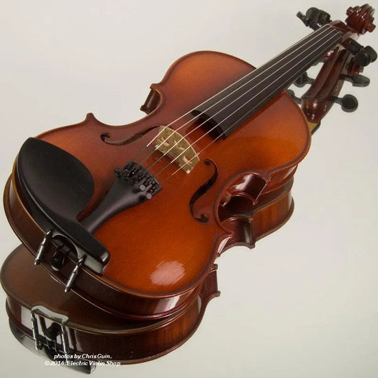 Realist RV-5e acoustic-electric violin - Electric Violin Shop