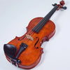 Realist RV4PeFA Pro Ac-El Violin with Instant Active, Frantique finish & Wittner Finetune Pegs - Electric Violin Shop