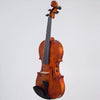 Realist RV4PeFA Pro Ac-El Violin with Instant Active, Frantique finish & Wittner Finetune Pegs - Electric Violin Shop