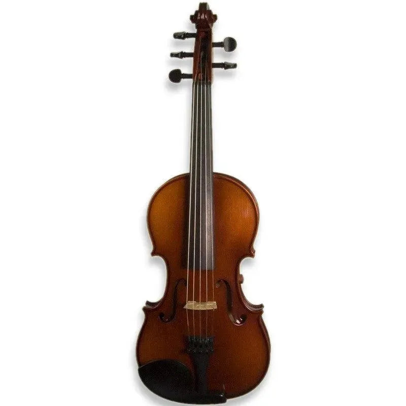 5-string Violins | Electric Violin Shop