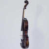 Realist RV4PeBA Pro Ac-El Violin with Instant Active, Trans Black finish & Wittner Finetune Pegs - Electric Violin Shop