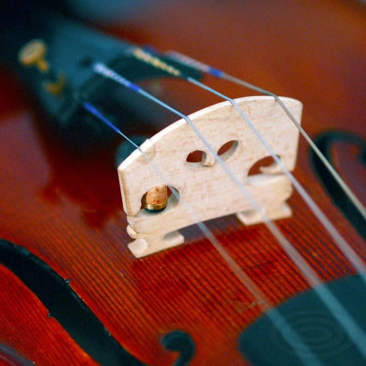 Schertler STAT-V pickup set for violin - Electric Violin Shop