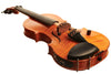 Cantini E-Acoustic 5-String hollowbody archtop electric violin with MIDI - Electric Violin Shop