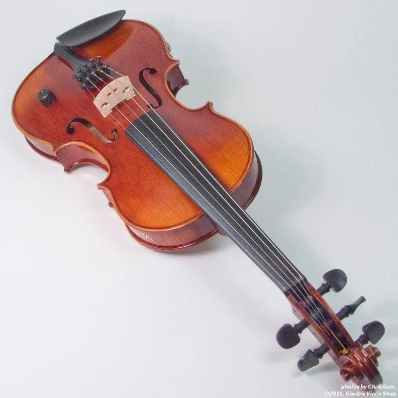 ZETA EV05 Acoustic Pro 5-string acoustic-electric violin