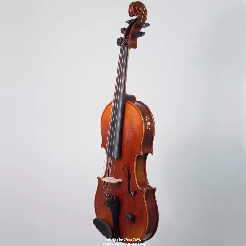 ZETA Acoustic Pro 5-String Violin | Electric Violin Shop