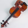 ZETA EV04 Acoustic Pro 4-string acoustic-electric violin - Electric Violin Shop